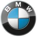BMW 1M Badge