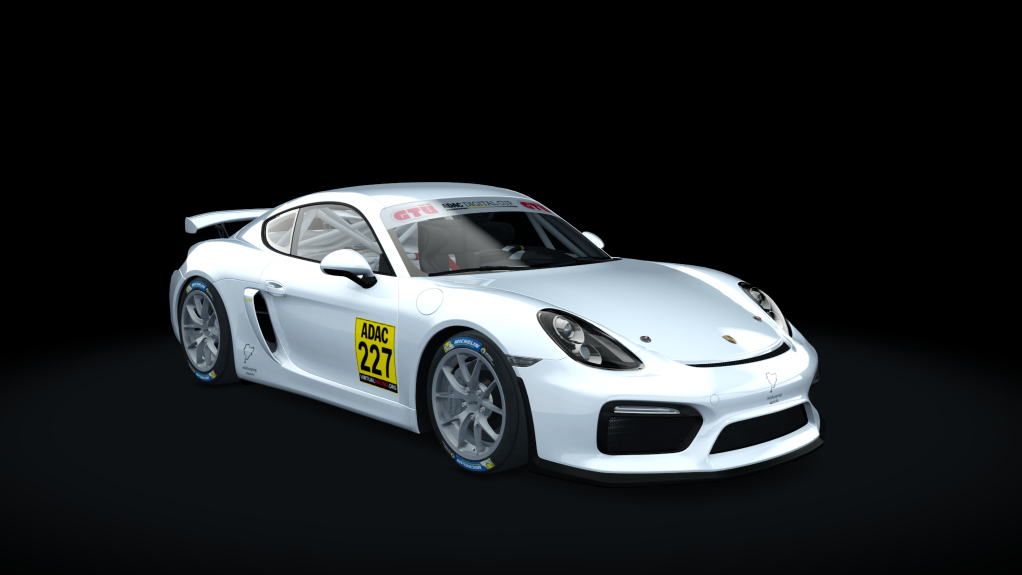 Porsche Cayman GT4 Digital Cup, skin GT4_227_ESC