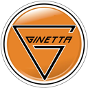 Ginetta G55 GT4 Badge