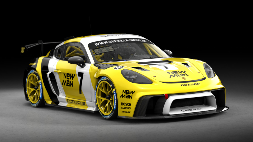 Porsche Cayman RSR, skin 7_newman_racing