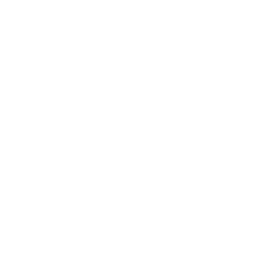 McLaren P1™ GTR Badge