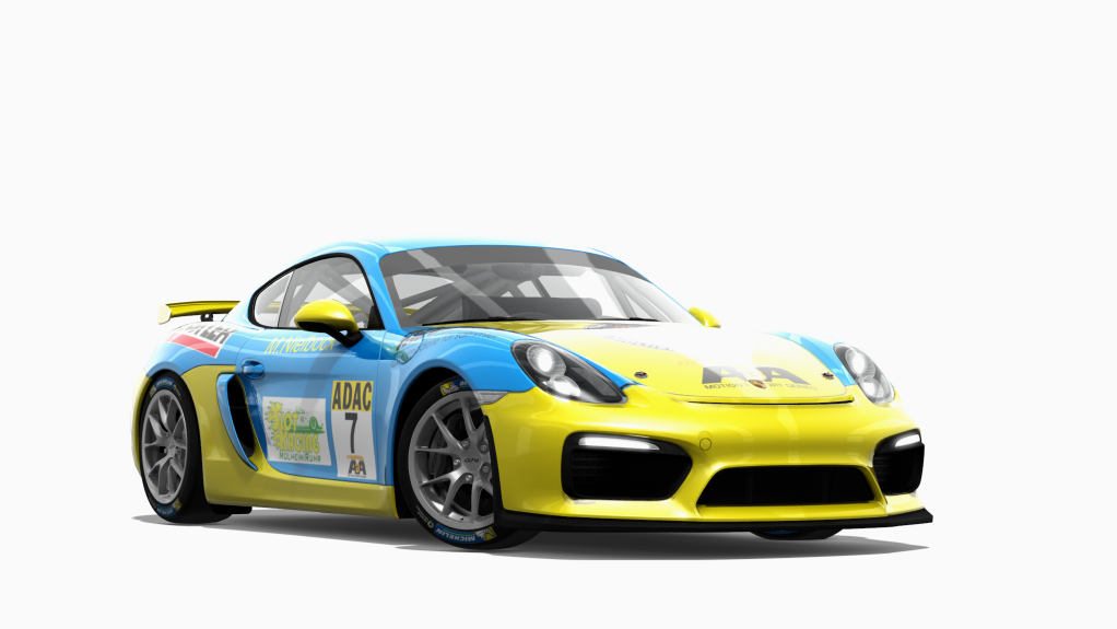 Porsche Cayman GT4 Clubsport, skin 07_porsche_nielbock