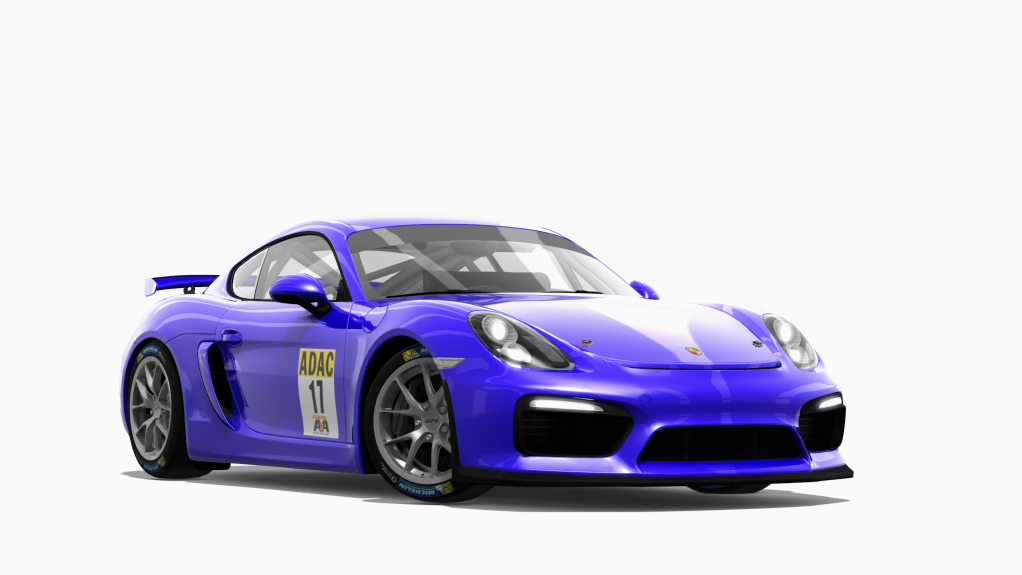 Porsche Cayman GT4 Clubsport, skin 17_porsche_werner